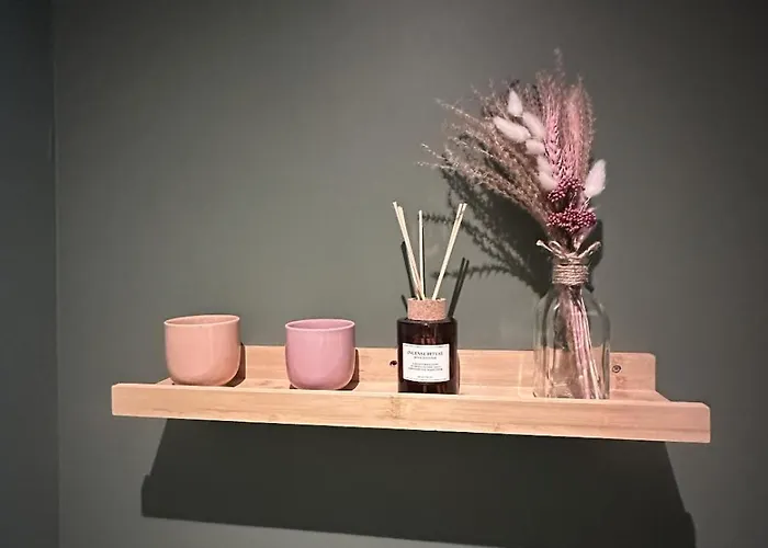 2 Pieces Coup De Coeur, Balcon, Proche Sanctuaire Lourdes